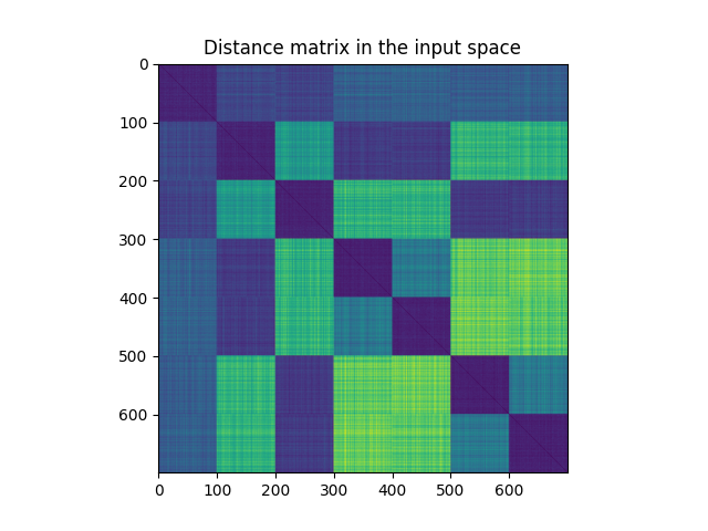 Distance matrix in the input space